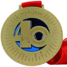 Hamburg Marathon medal
